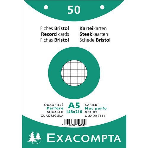 Lot de 20 Paquet 50 fiches sous film quadrillé 5x5 perforé 148x210mm - Image principale