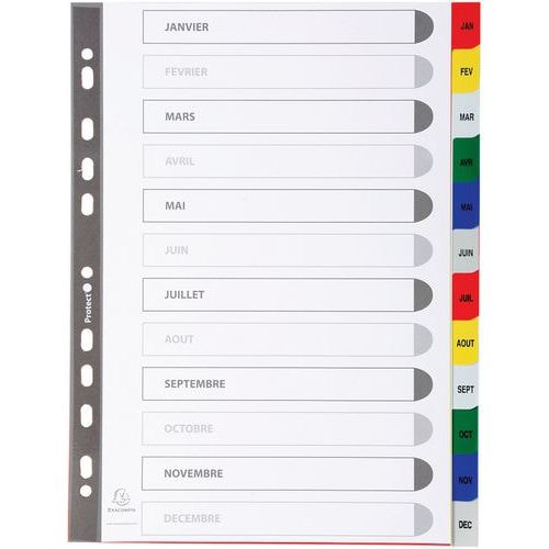 Lot de 20 Intercalaires imprimés mensuels pp couleurs janv-décembre A4 - Image principale
