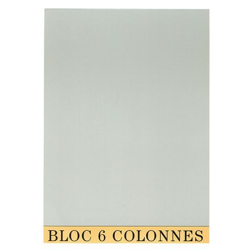 Lot de 5 Bloc de contrôle comptable 29,7x21cm 6 col. 70 feuillets - Image principale
