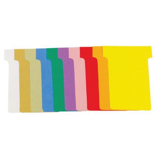 Carton de 10 étuis de 100 fiches en T n°2 - Image principale