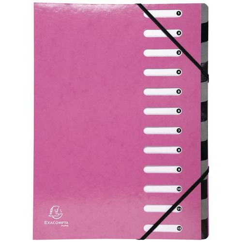 Lot de 6 Trieur Harmonika Iderama 12 compartiments bleu rose - Image principale