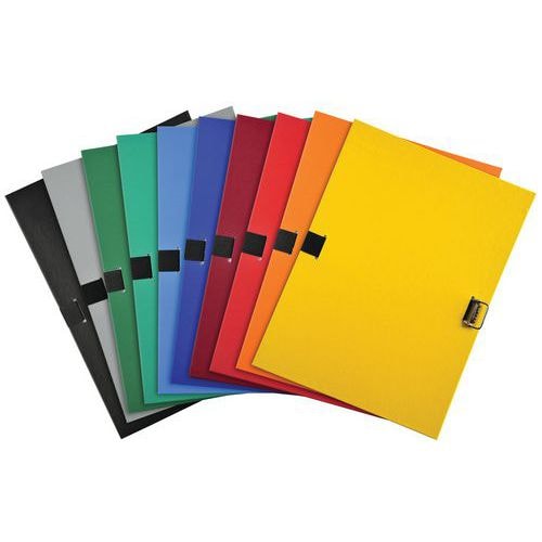 Lot de 10 chem. à sangle dos extens + rab. Et boucle col. assort - Image principale