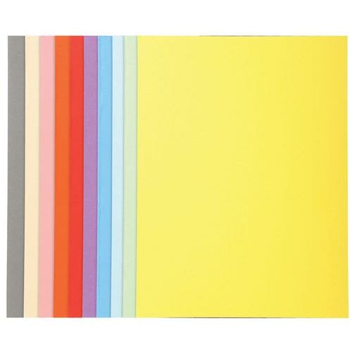 Lot de 5 paq. 100 chem. Forever 170 100% recyclé 24x32cm col. assort. - Image principale