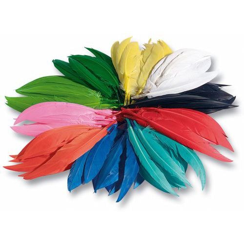 Sachet 100 gr plumes indiens - Image principale