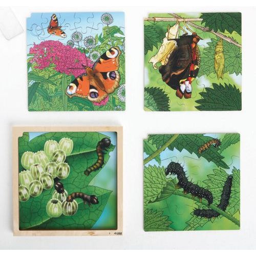 Puzzle développement du papillon - Image principale