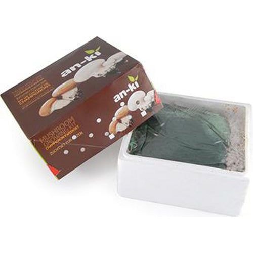 main product