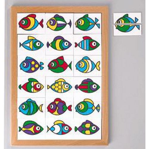 Jeu de loto des poissons - Image principale