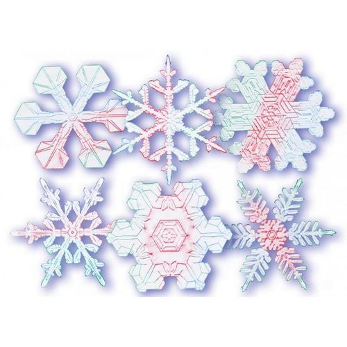 Lot 6 plaques relief flocons de différentes formes 17,5 x 17,5 cm. - Image principale