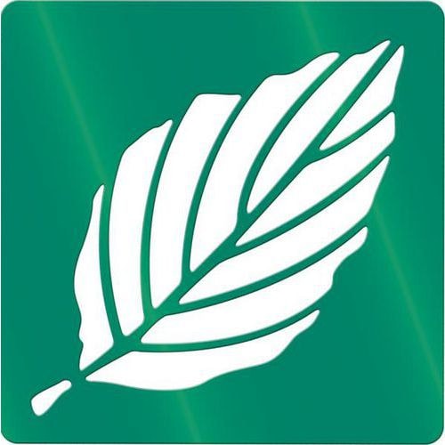 Ensemble de 12 pochoirs variétés de feuilles d'arbres 200 x 200 mm - Image principale