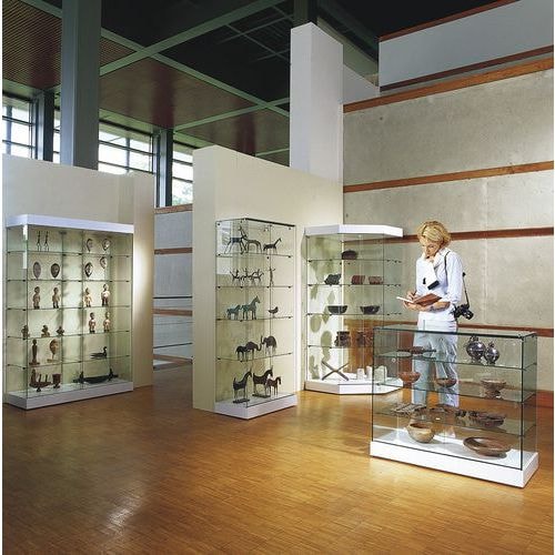 Vitrine d'exposition haute double électrifiée 120 x 185 cm - Image principale