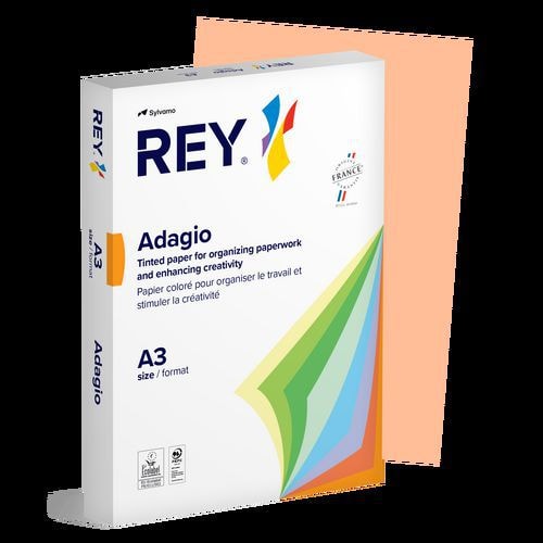 Ramette couleur vive 500 feuilles 80g A3 à la teinte - saumon (nectarine) - Image principale