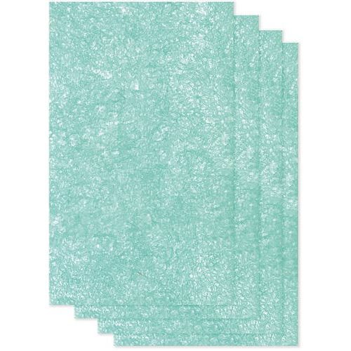 Pré-filtre AM2 - AeraMax (lot de 4) - Image principale