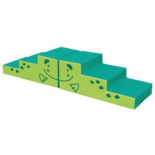 Chemin en mousse - grenouille - Image principale