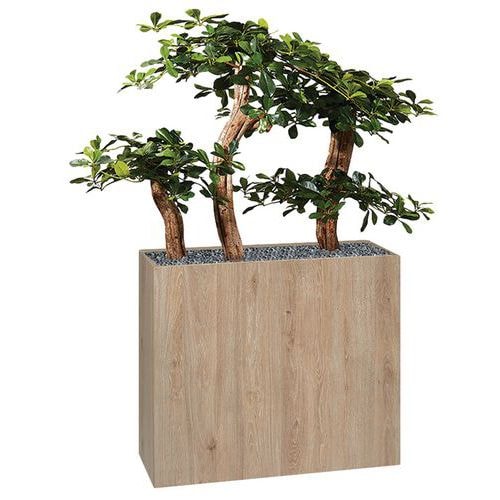 Jardinière bois BOSCO mobile Bonzaî - Image principale