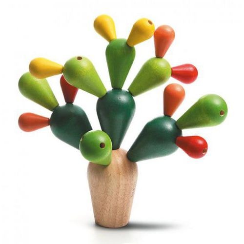 Mikado Cactus - Image principale