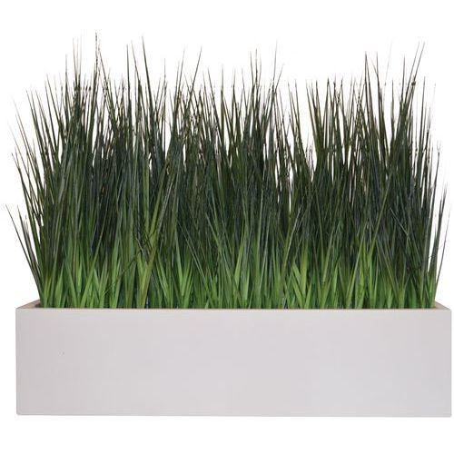 La jardinière graminée - Image principale