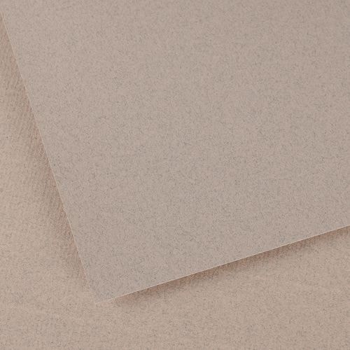 Paquet 25 feuilles ingres 50X65 100g - gris clair - Image principale