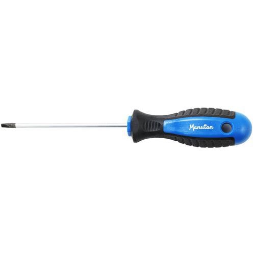Tournevis pour vis fente 4mm - Manutan - Image principale