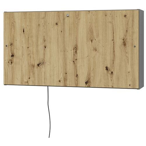 main product